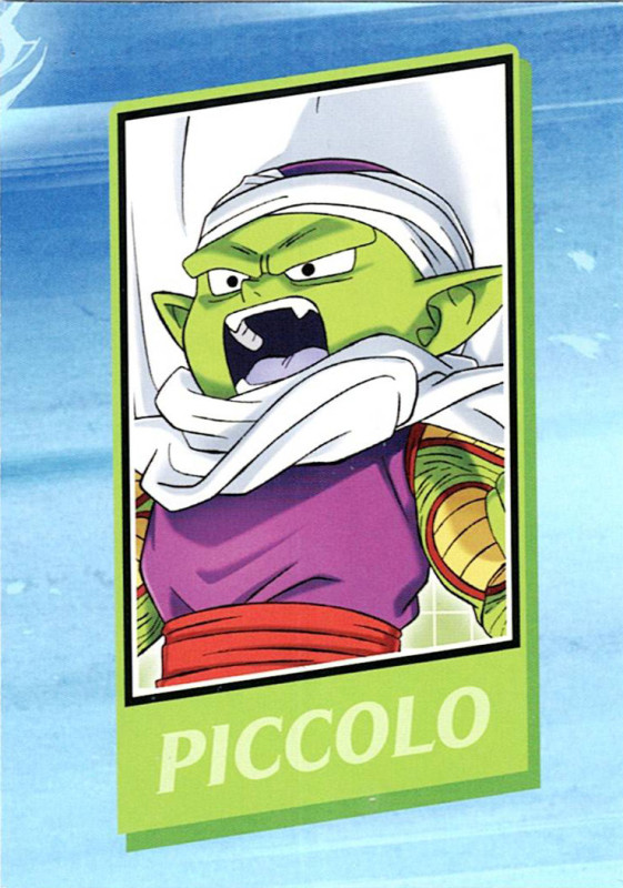PICCOLO name card Puzzle #114