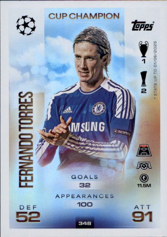 Fernando Torres Cup Champion #348